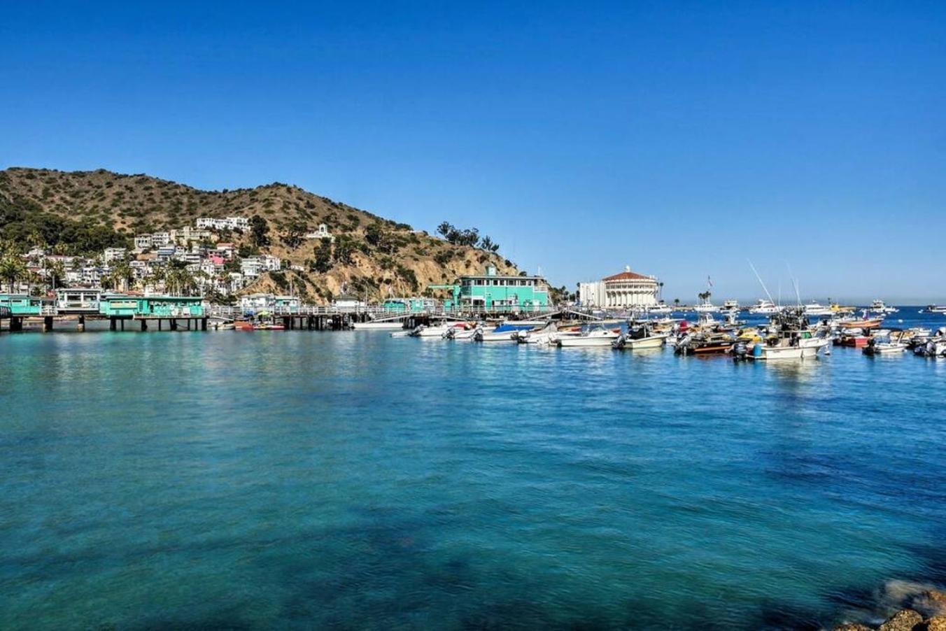 Gorgeous Oceanfront Villa With Panoramic Views Avalon Εξωτερικό φωτογραφία